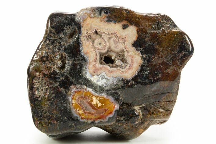 Polished Berber Agate Section - Sidi Rahal, Morocco #324036